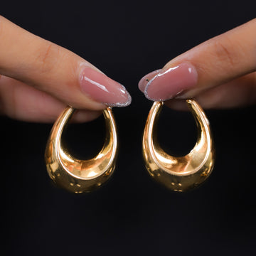 Iconic Hoops Earrings