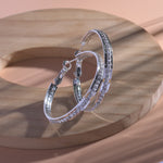 Load image into Gallery viewer, Crystal Circle Silver Hoop Earrings
