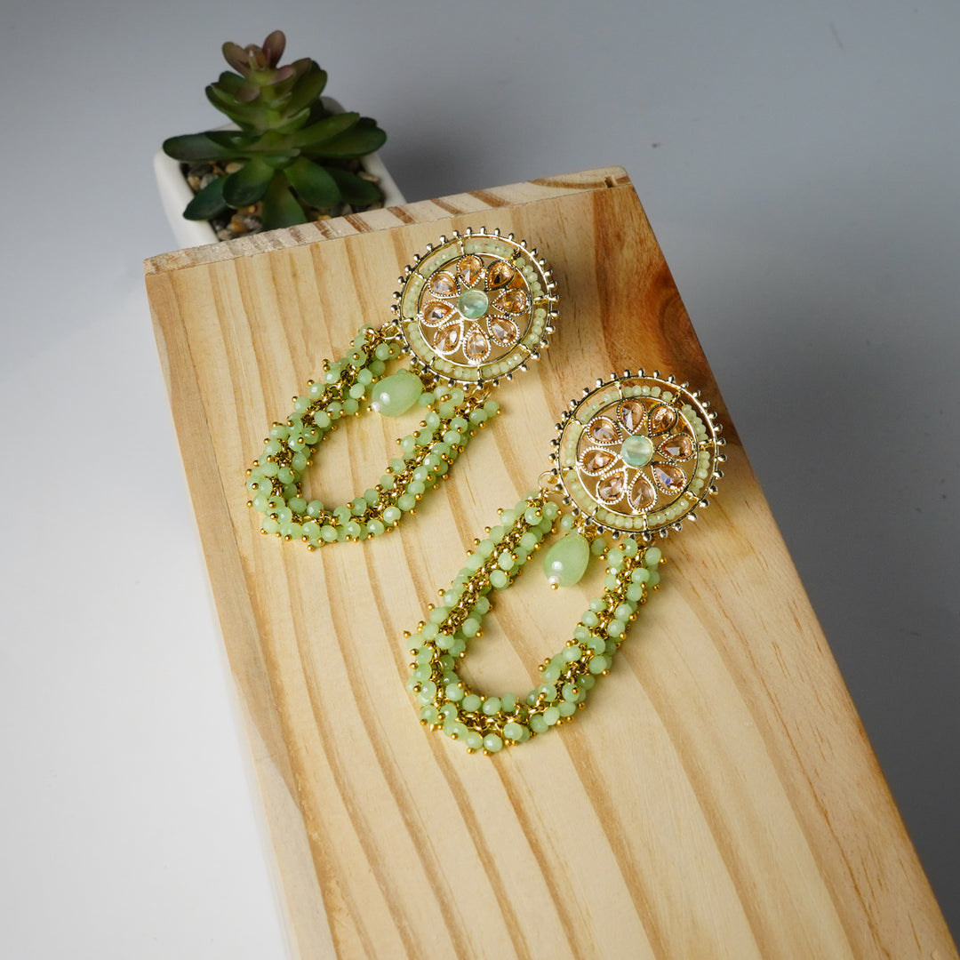 Pearls and Stones Embroidered Earrings