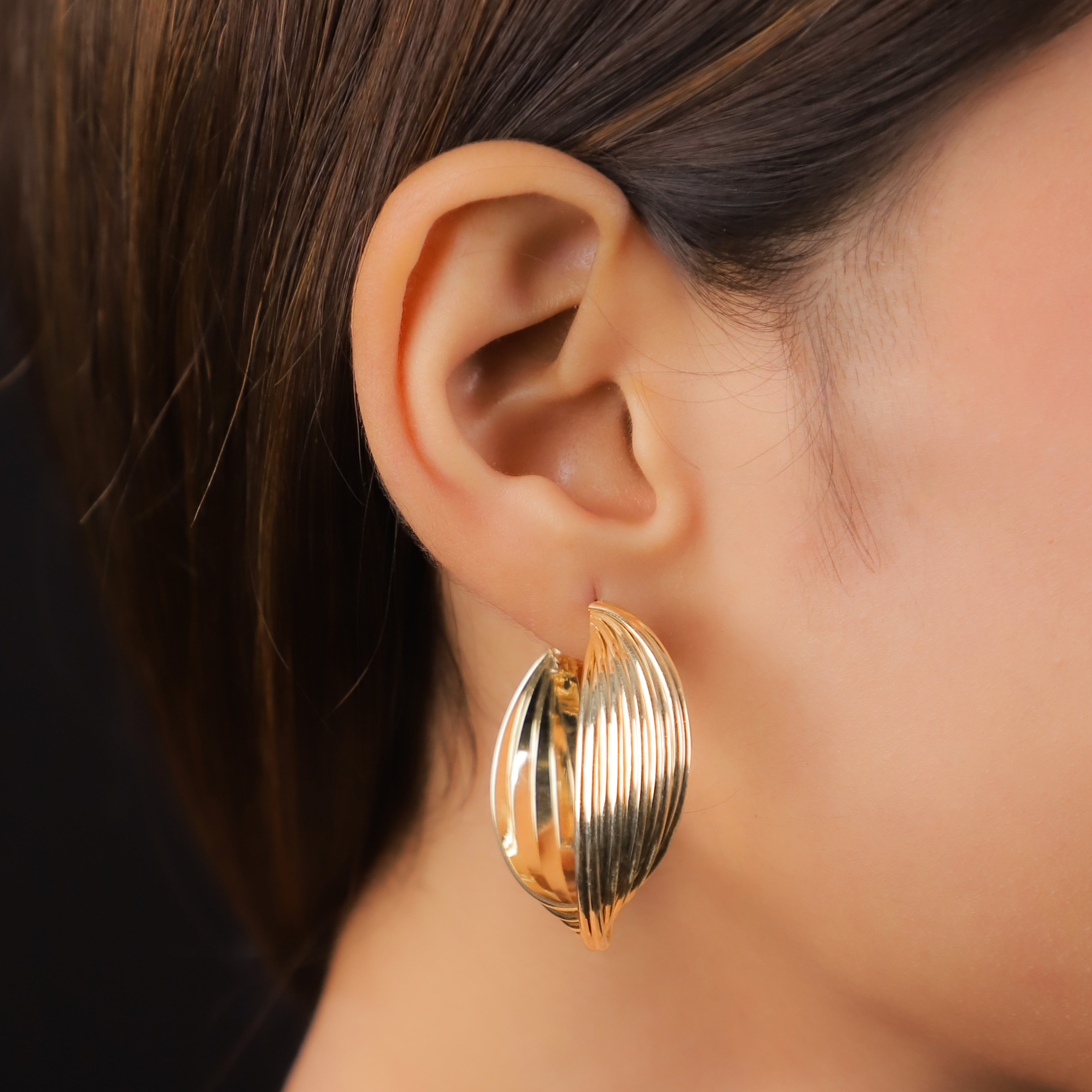 Iconic Twisted Hoops Earrings