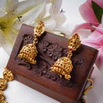 Load image into Gallery viewer, Temple Jewelry Devi Lakshmi Necklace Set