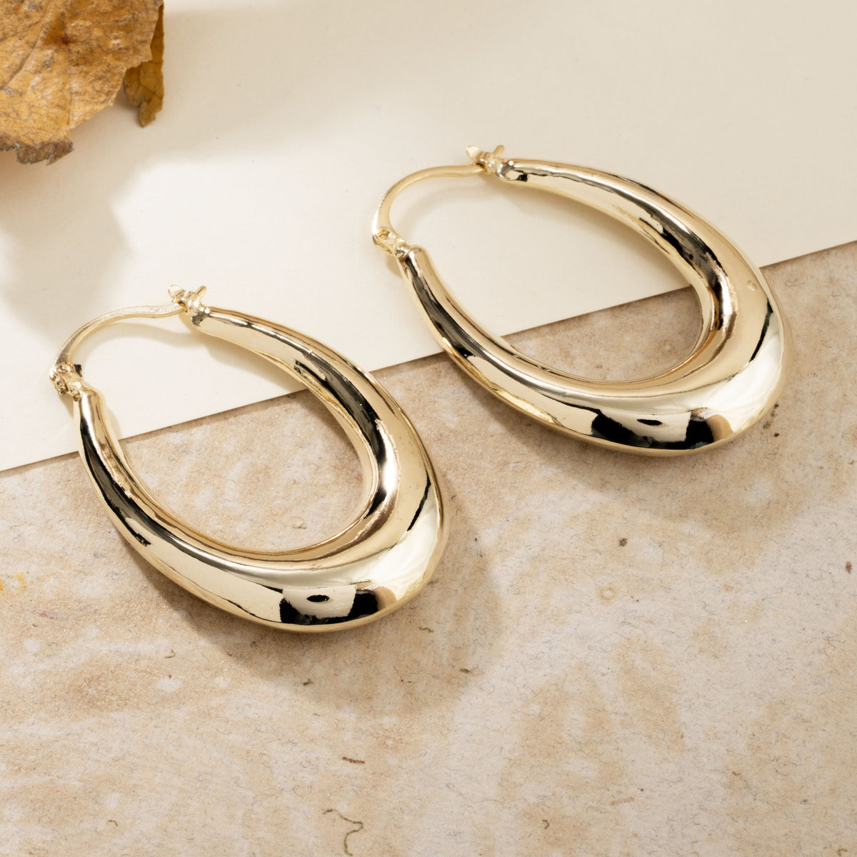 Iconic Hoops Earrings