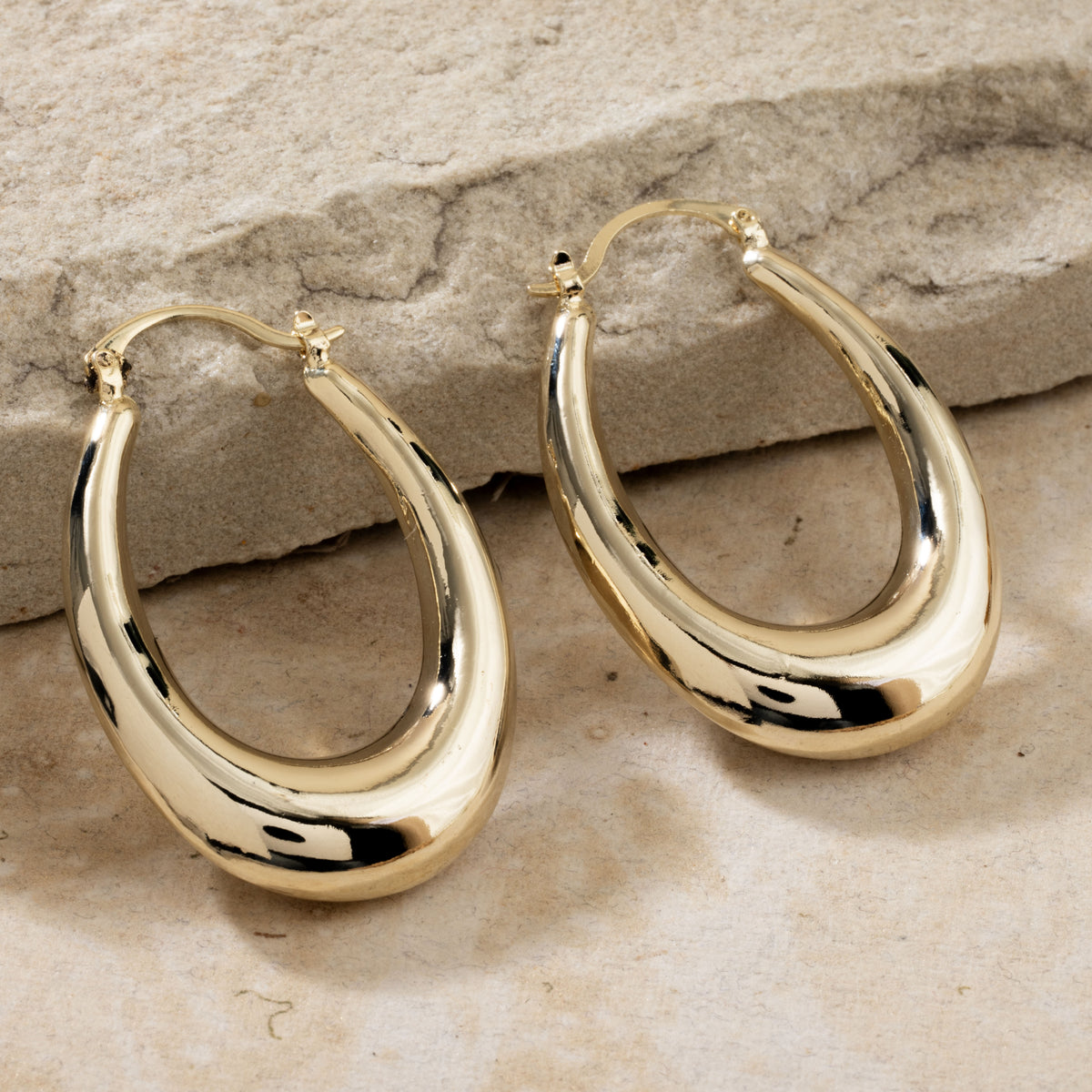 Iconic Hoops Earrings