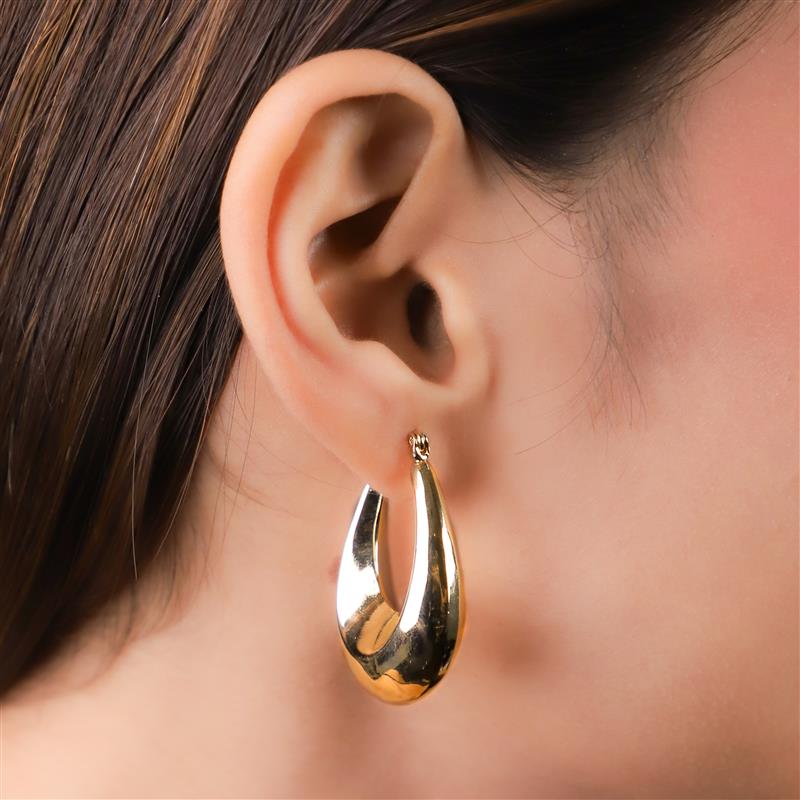 Iconic Hoops Earrings