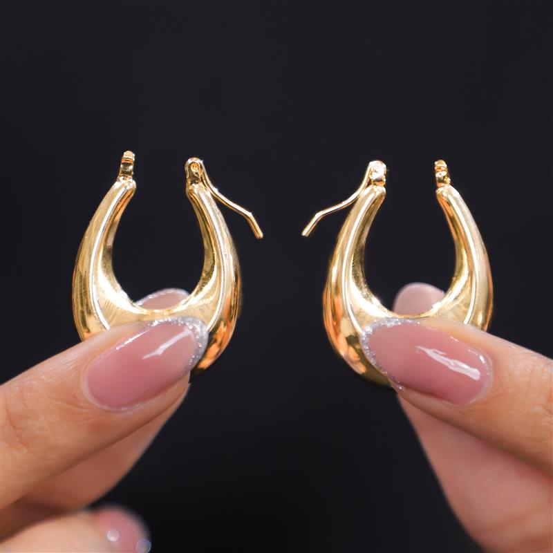Iconic Hoops Earrings
